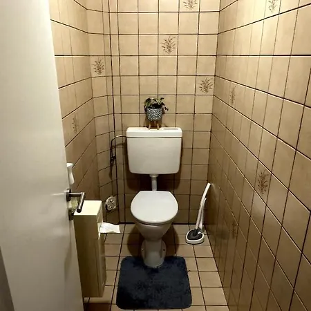 Schoene In Gruener Lage Mit Fitnessgeraet Apartmán Linec